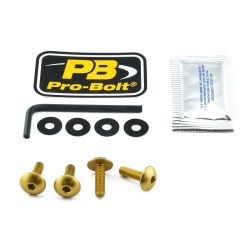 SCR KIT SCREEN 4 GD - 23210681
