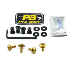 SCR KIT SCREEN 4 XL GD