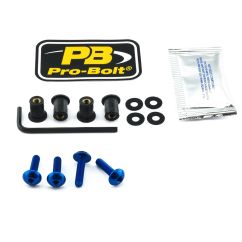 SCR KIT SCREEN 4 BL - 23210734
