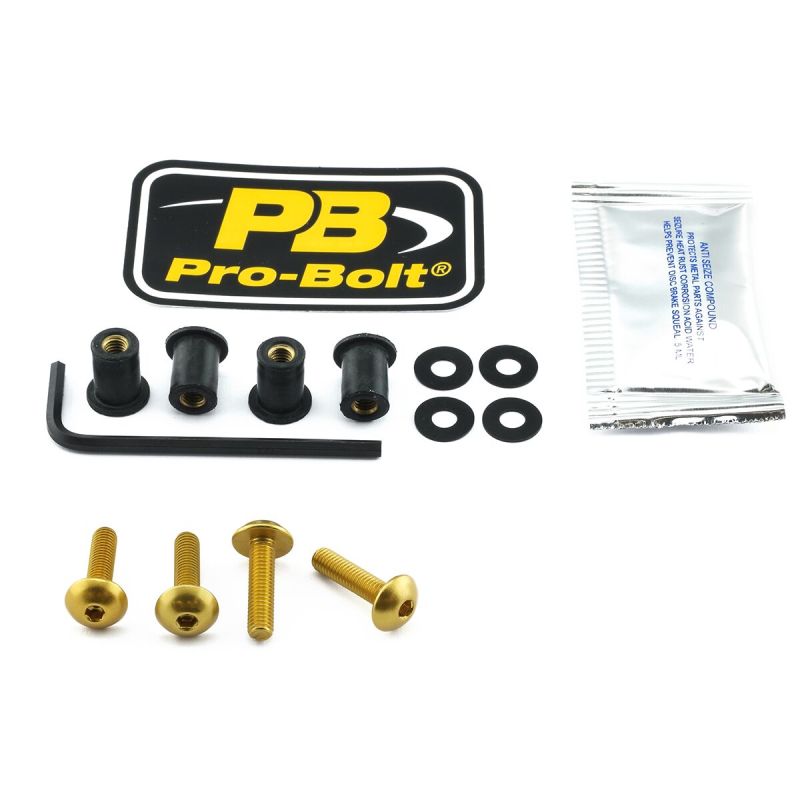 SCR KIT SCREEN 4 GD - 23210736
