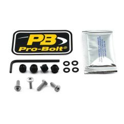 SCR KIT SCREEN 4 BL - 23210748