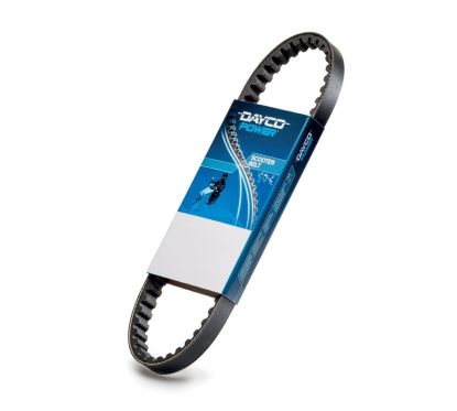 Courroie de transmission DAYCO standard