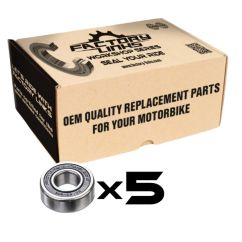 Kit de roulements FACTORY LINKS - 6002 2RS x5