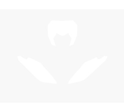 Fonds de plaque BLACKBIRD Fantic XE