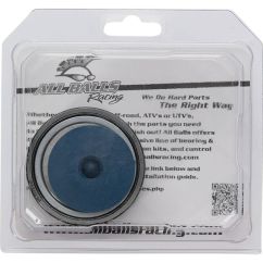 Kit roulements de roue DAC coniques premium ALL BALLS upgrade