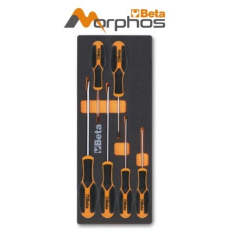 Module en mousse EVA BETA tournevis Morphos tête fendue et cruciforme Phillips® Module en mousse EVA BETA tournevis Morphos tête fendue et cruciforme Phillips®