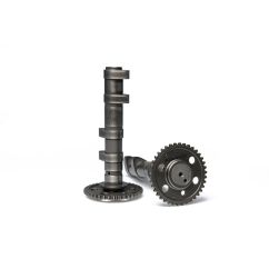 Arbre à cames MALOSSI Power Cam