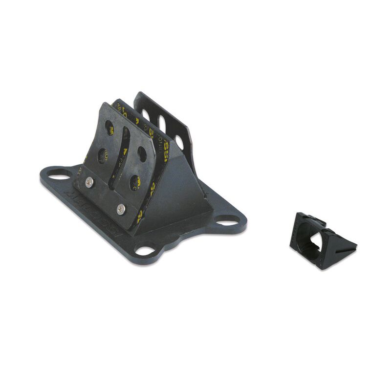 Clapets carbone MALOSSI