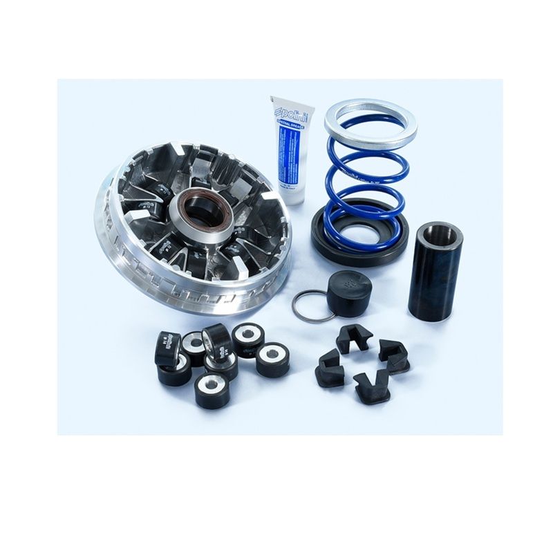 Variateur POLINI