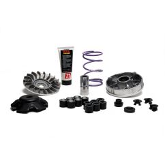 Variateur MALOSSI Multivar MHR Team 2