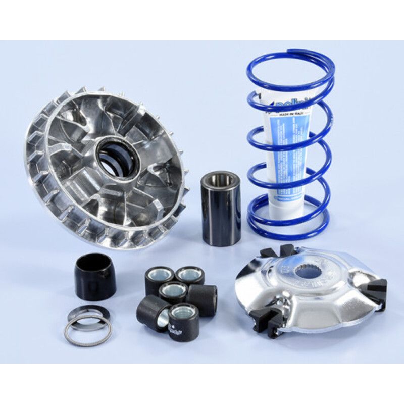 Variateur POLINI High Speed Variateur POLINI High Speed