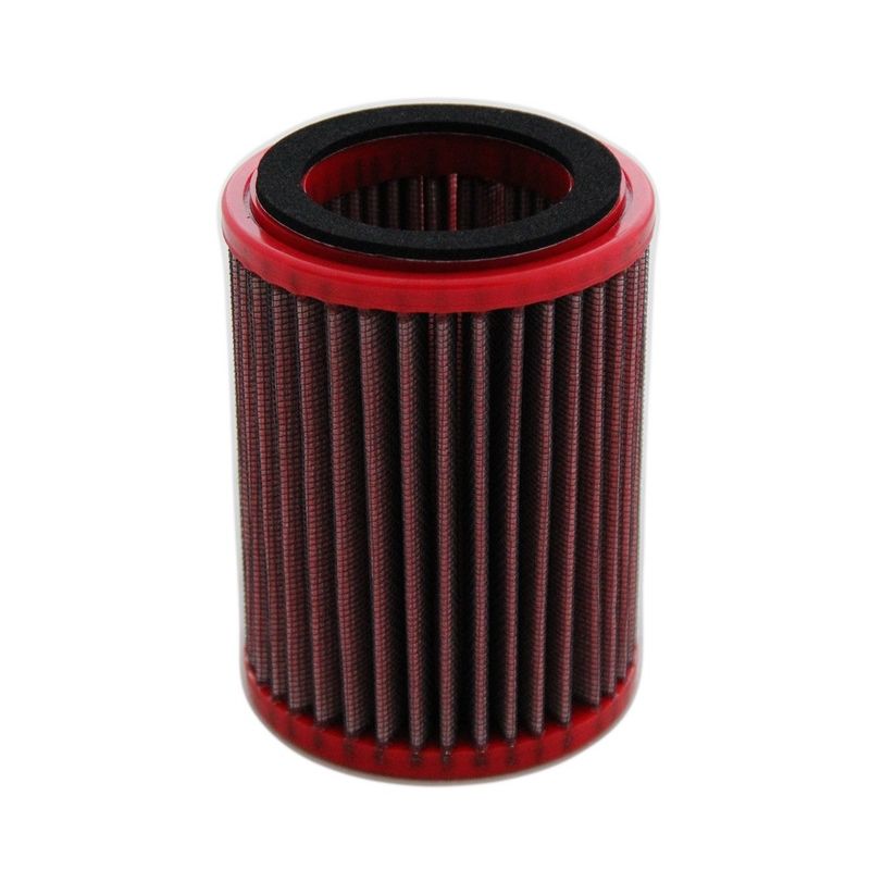 Filtre à air BMC - FM206/12