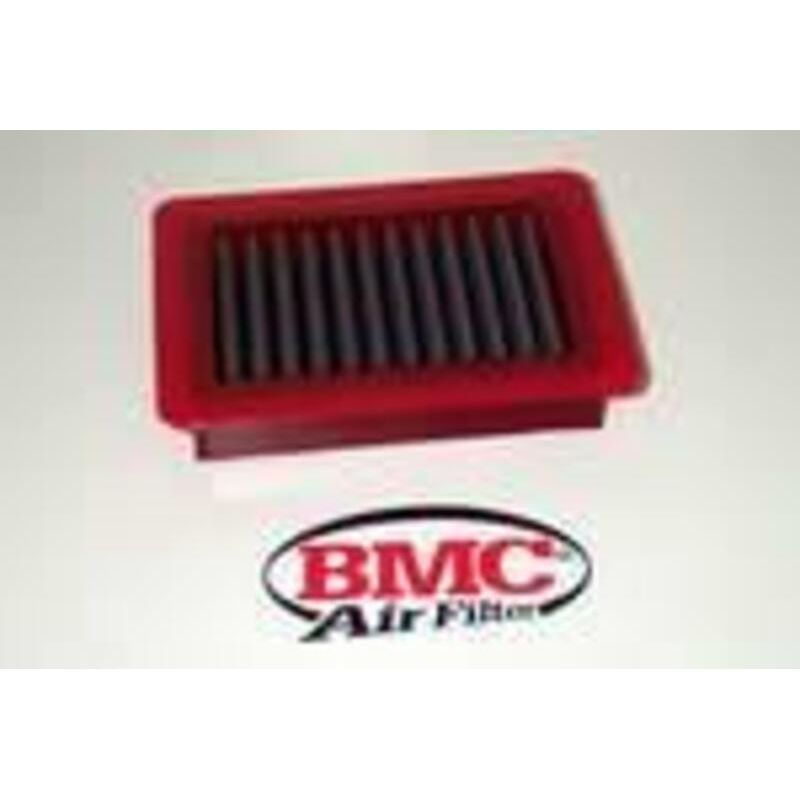 Filtre à air BMC - FM234/04