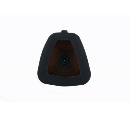 Filtre à air TWIN AIR résistant au feu - 152218FR