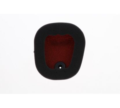 Filtre air TWIN AIR power flow / back fire