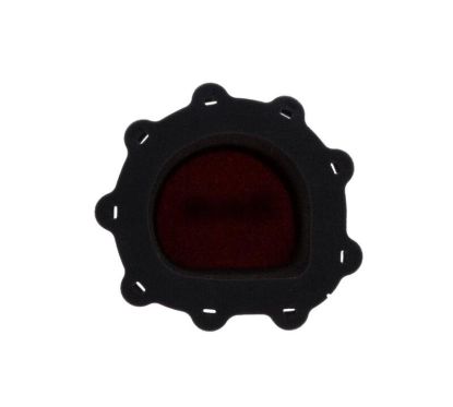 Filtre à air TWIN AIR résistant au feu - 156024FR