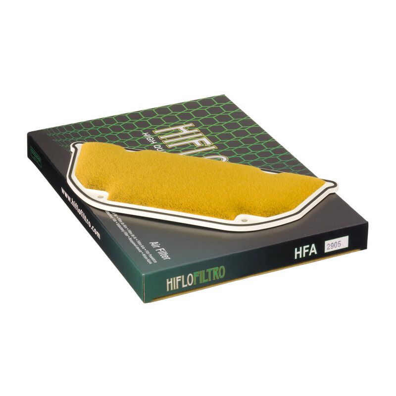 Filtre à air HIFLOFILTRO - HFA2905