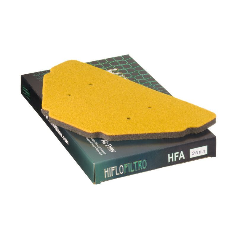 Filtre à air HIFLOFILTRO - HFA2603
