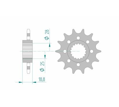 Pignon AFAM acier standard - 520