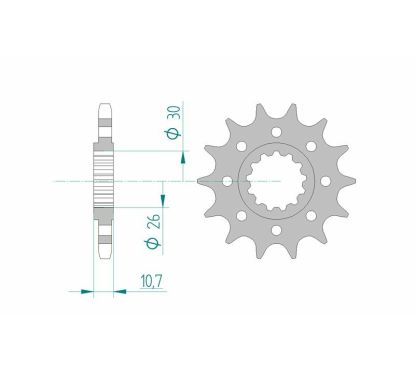 Pignon AFAM acier standard - 525