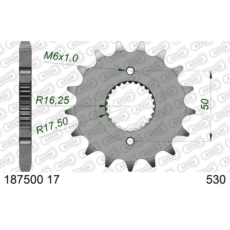 Pignon AFAM acier standard - 530