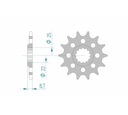 Pignon AFAM acier standard - 520