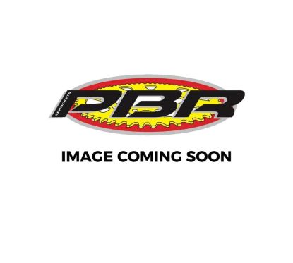 Couronne PBR acier standard - 520